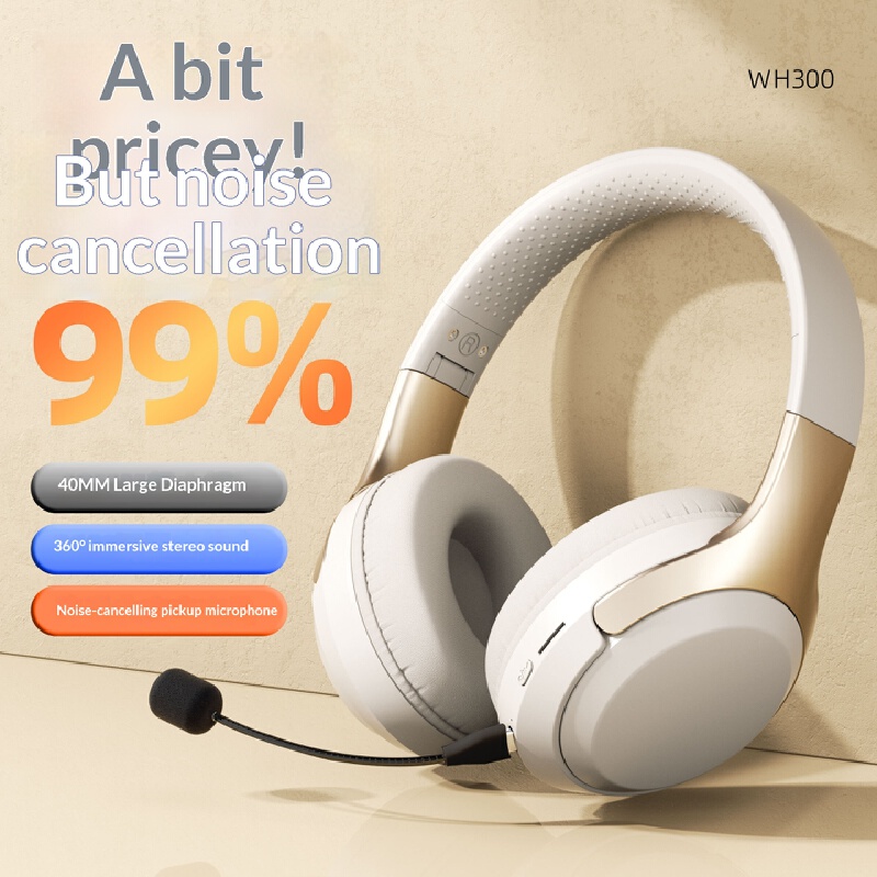 オーバーイヤーワイヤレス Bluetooth ヘッドフォン内 - Laptop Accessories Officeworks のレビューと価格